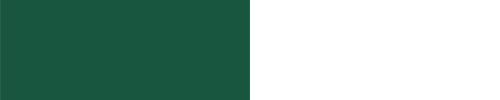 Bandierina